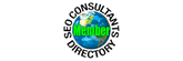 SEO Consultant